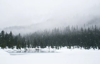 snow falling over a foggy, wooded lake